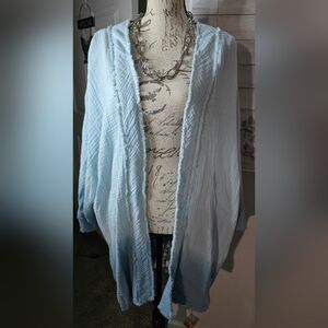 Wonderly Light Blue Blouse